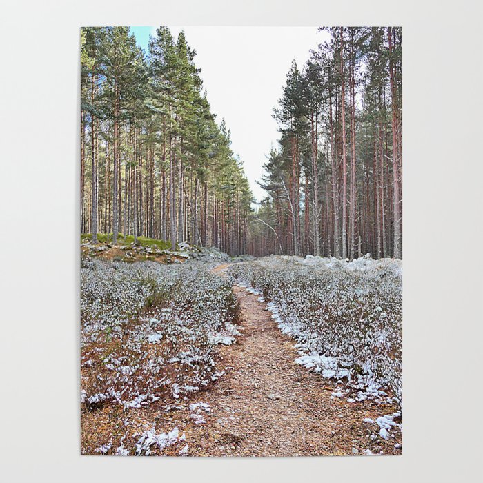 Frozen Spring Nature Trail Scottish Highland Style  Poster