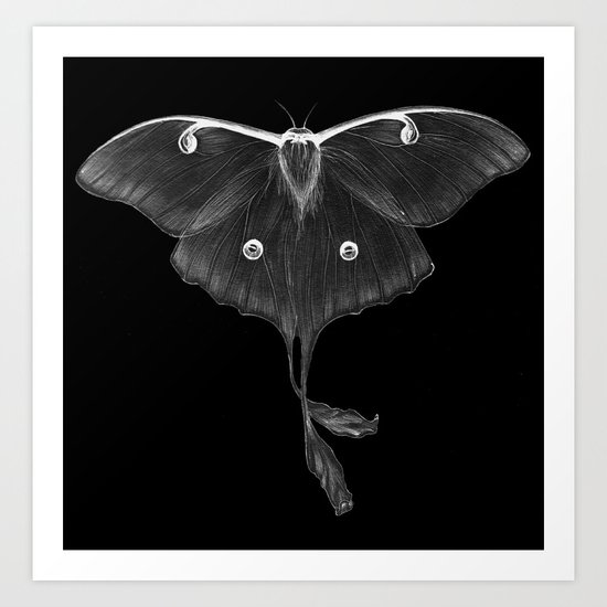 Luminescence Art Print