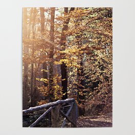 Autumn Daze Poster