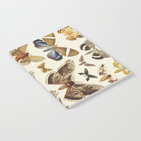 Collection Notebook