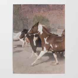 Painted Pony Poster