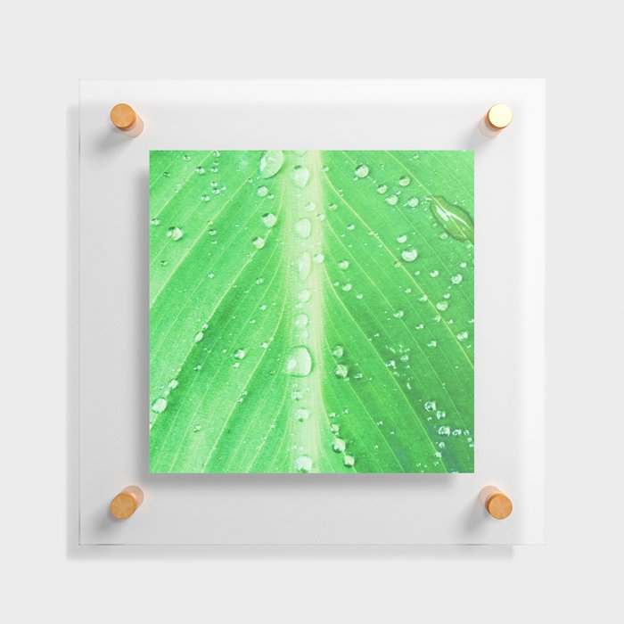 green leaflet in tropical rain painted impressionism ( 1 of 3 set ) Floating Acrylic Print