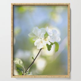 Apple Tree Branch With Flowers - Spring Mood #decor #society6 #buyart Serving Tray