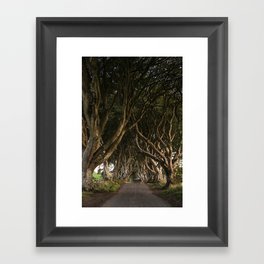 Row of Trees (Dark Hedges in Northern Ireland) Framed Art Print