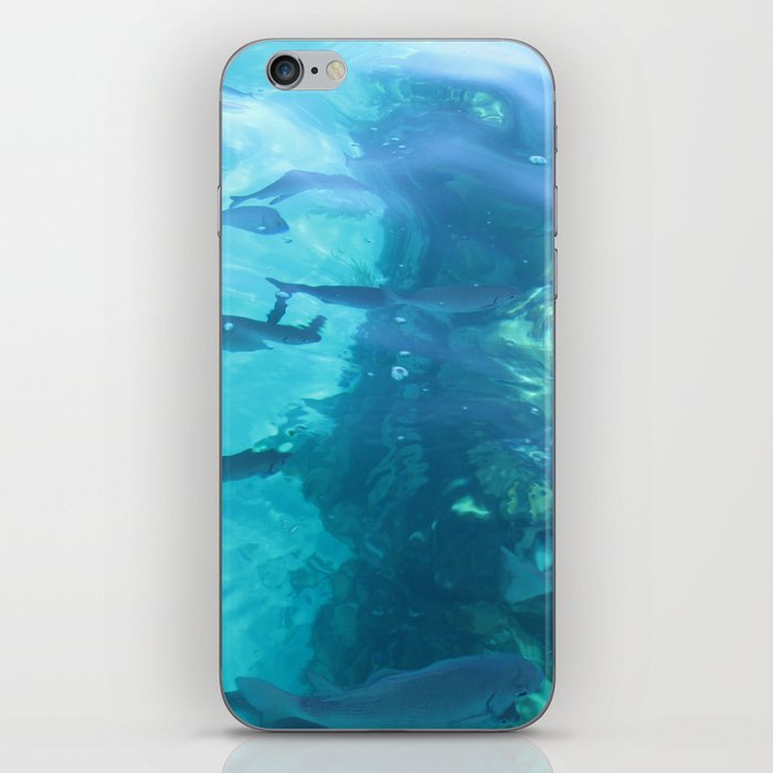 Fish Underwater iPhone Skin