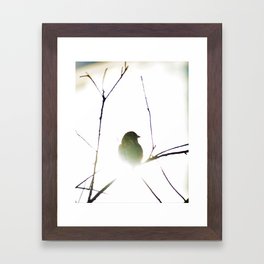 The golden sparrow Framed Art Print