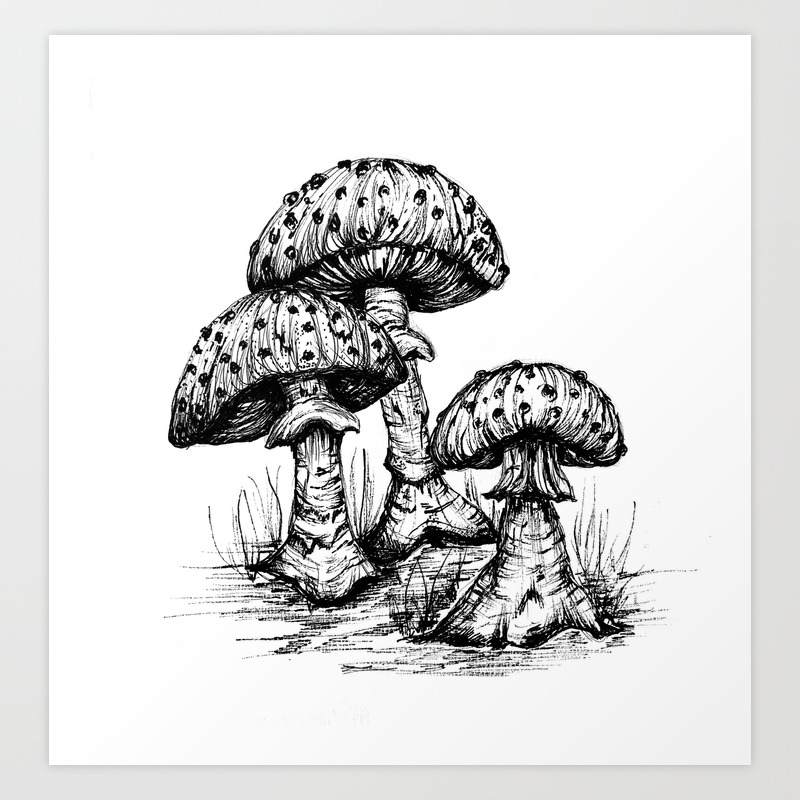 Грибы рисунок карандашом эстетика