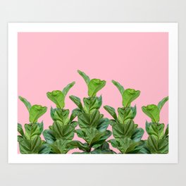 Rubber trees in group with pink Art Print