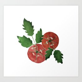 Tomatoes off the vine Art Print