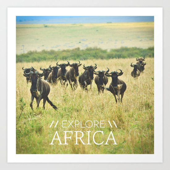 Wildebeest Art Print