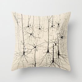 Santiago Ramon y Cajal Neurons Drawing Throw Pillow