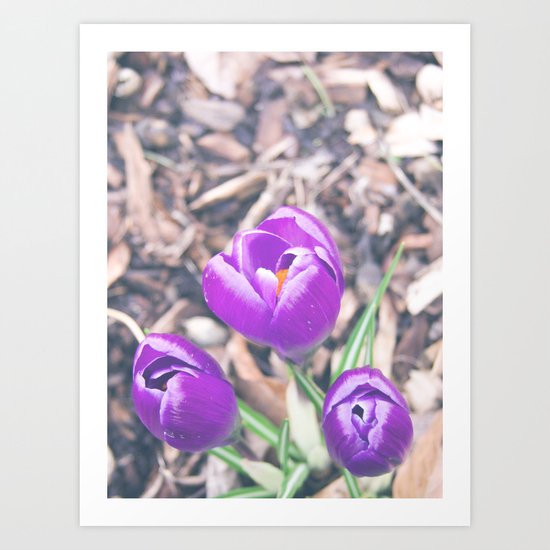 Spring is Here Art Print