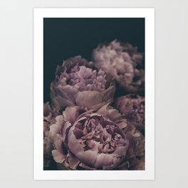 Moody Peonies | Modern Floral Photography | Nature Art Print