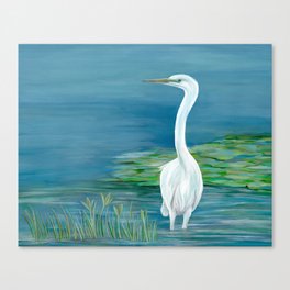 Great White Heron  Canvas Print