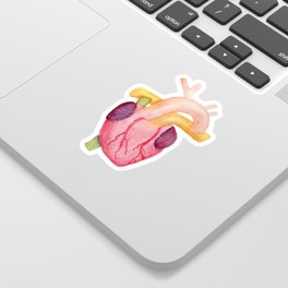 Watercolor Anatomical Heart Sticker