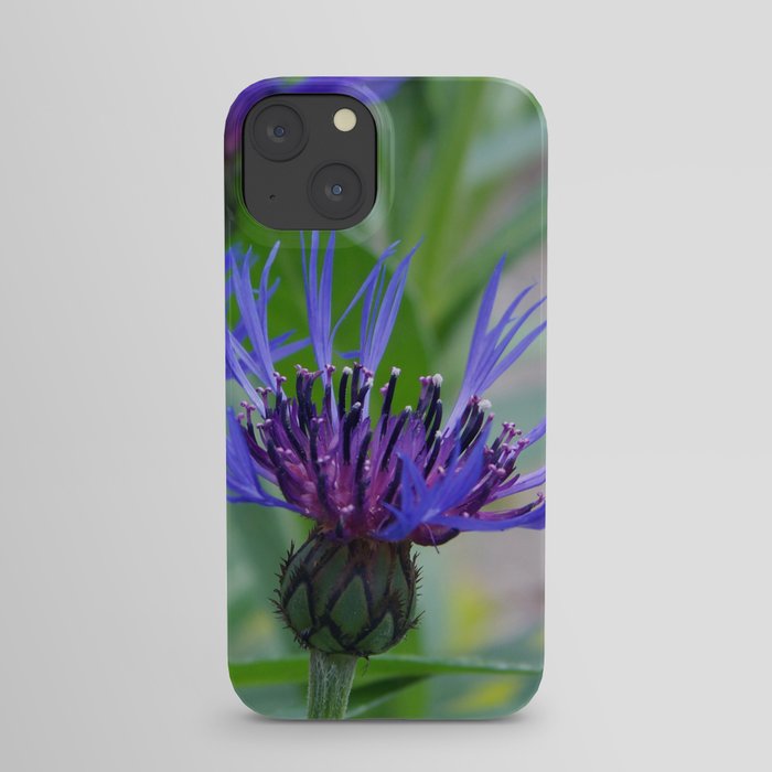 Delicate Flower iPhone Case