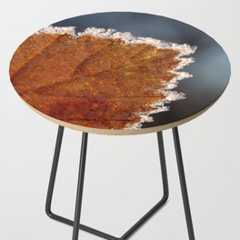Frozen autumn by Denise Dietrich Side Table