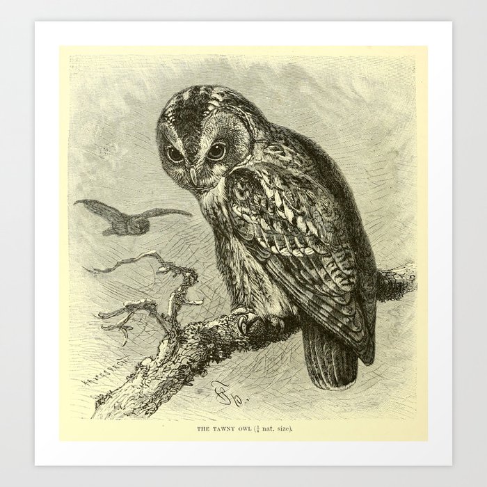 Art Print