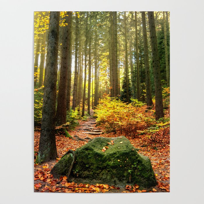 Path Through The Trees - Landscape Nature Photography Poster