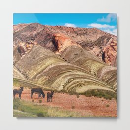 Argentina Photography - Donkeys At Quebrada De Humahuaca Metal Print