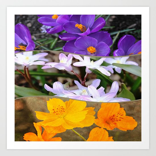 Spring Floral Collage Art Print