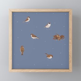 Sparrow Framed Mini Art Print