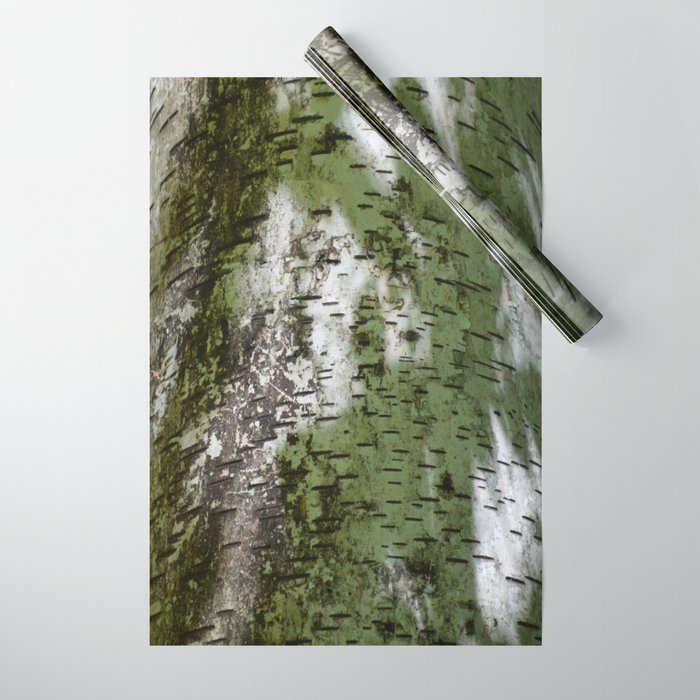 Birch Bark Pattern Green And White Wood Bring The Outdoors In Wring Paper By Theoldbarndoor Birch Bark Pattern Green And White Wood Bring The Outdoors In Wring Paper By Theoldbarndoor