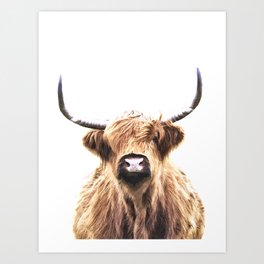 Highland Cow Portrait Art Print