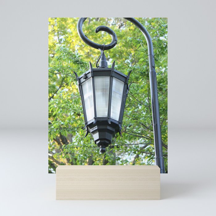 Spring Wellesley Lamp Mini Art Print