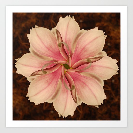 Magnolie Art Print