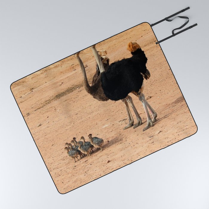South Africa Photography - Ostrich Parents With Their Children Picnic Blanket