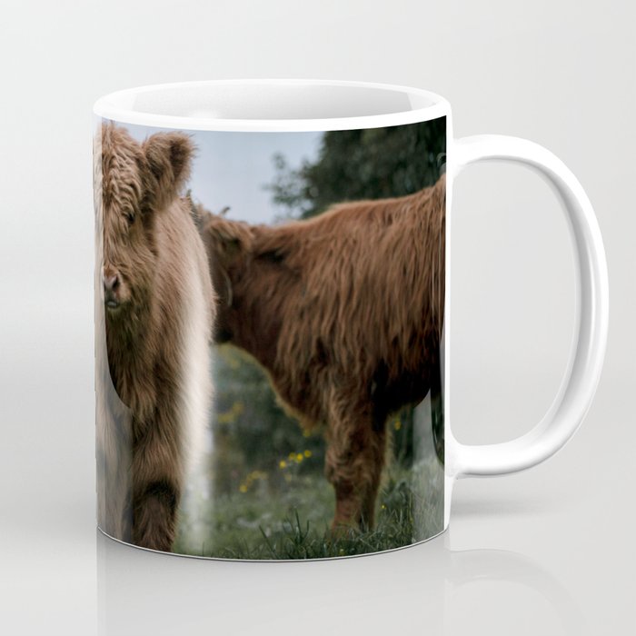 Scottish Highland Cattle Calves - Babies playing II Coffee Mug