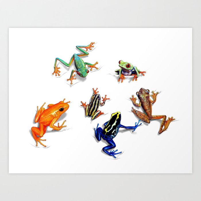 Tropical Frogs Art Print