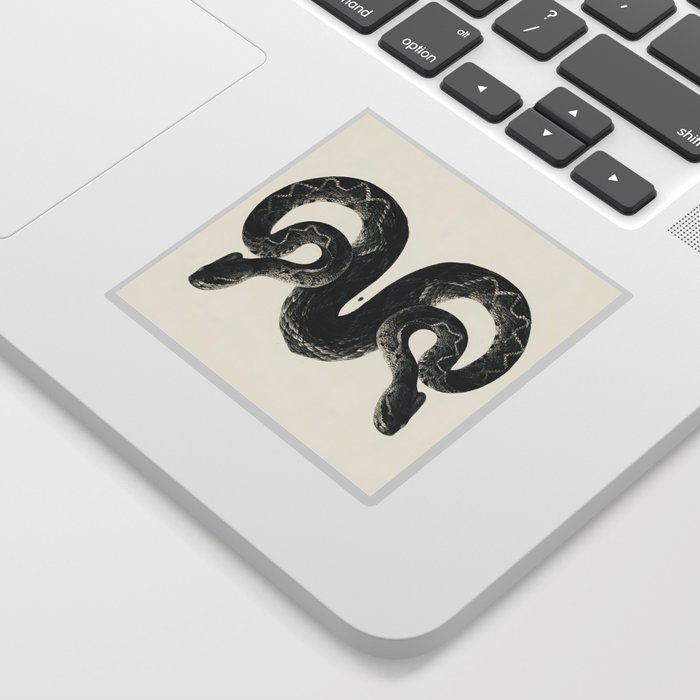 Snake 2 symmetry, collection, black and white, bw, set Sticker