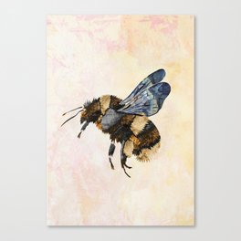 Grungy Watercolour Orange Bee Canvas Print