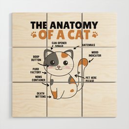The Anatomy Of A Cat Explanation Of A Cat Wood Wall Art
