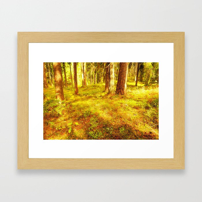 Summer in a Northern Forest #2 Framed Art Print