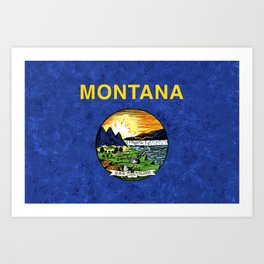 Flag of Montana US State Flags Banner Big Sky State American Colors Standard Art Print