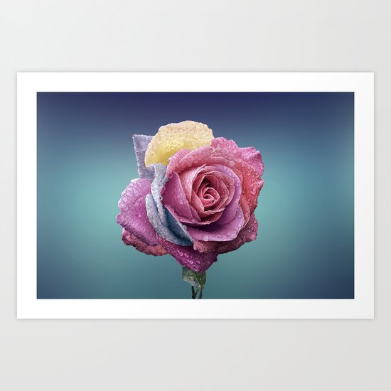 rose flower beauty 4 Art Print