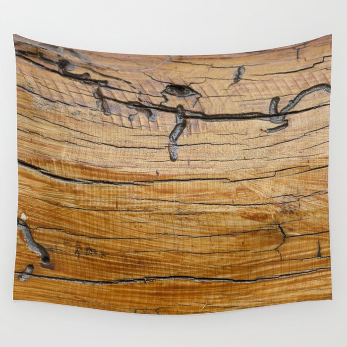 Natural wood background, wood slice and organic texture Wall Tapestry