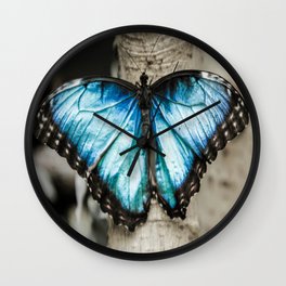 Black And White Blue Morph Butterfly Wall Clock