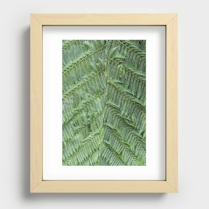 Tree Fern Frond Recessed Framed Print