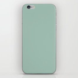 Lichen solid color. Celadon green moody modern abstract plain pattern iPhone Skin
