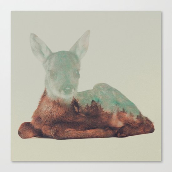 Resting Fawn Canvas Print