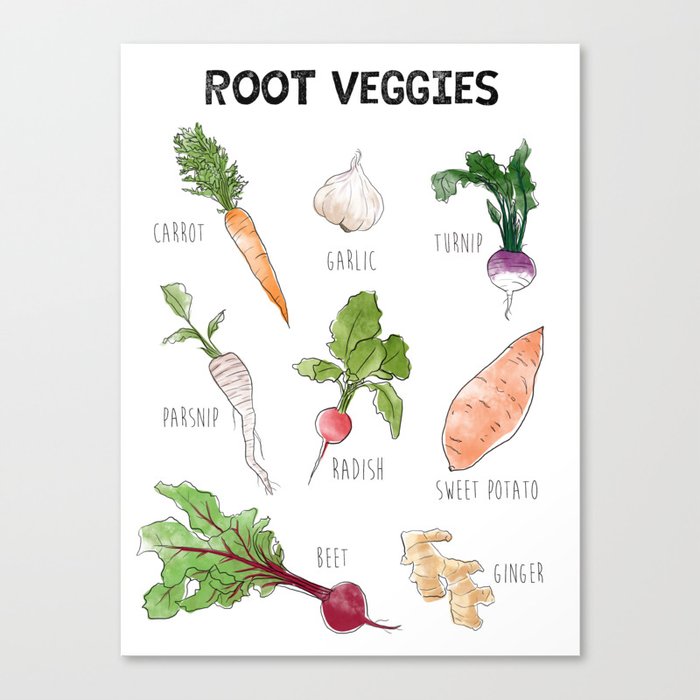 Shoutout to my Root Veggies! Canvas Print