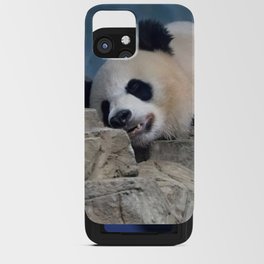sleeping panda iPhone Card Case