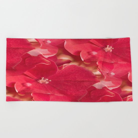 Red flower splendor - beautiful hydrangea blossoms Beach Towel