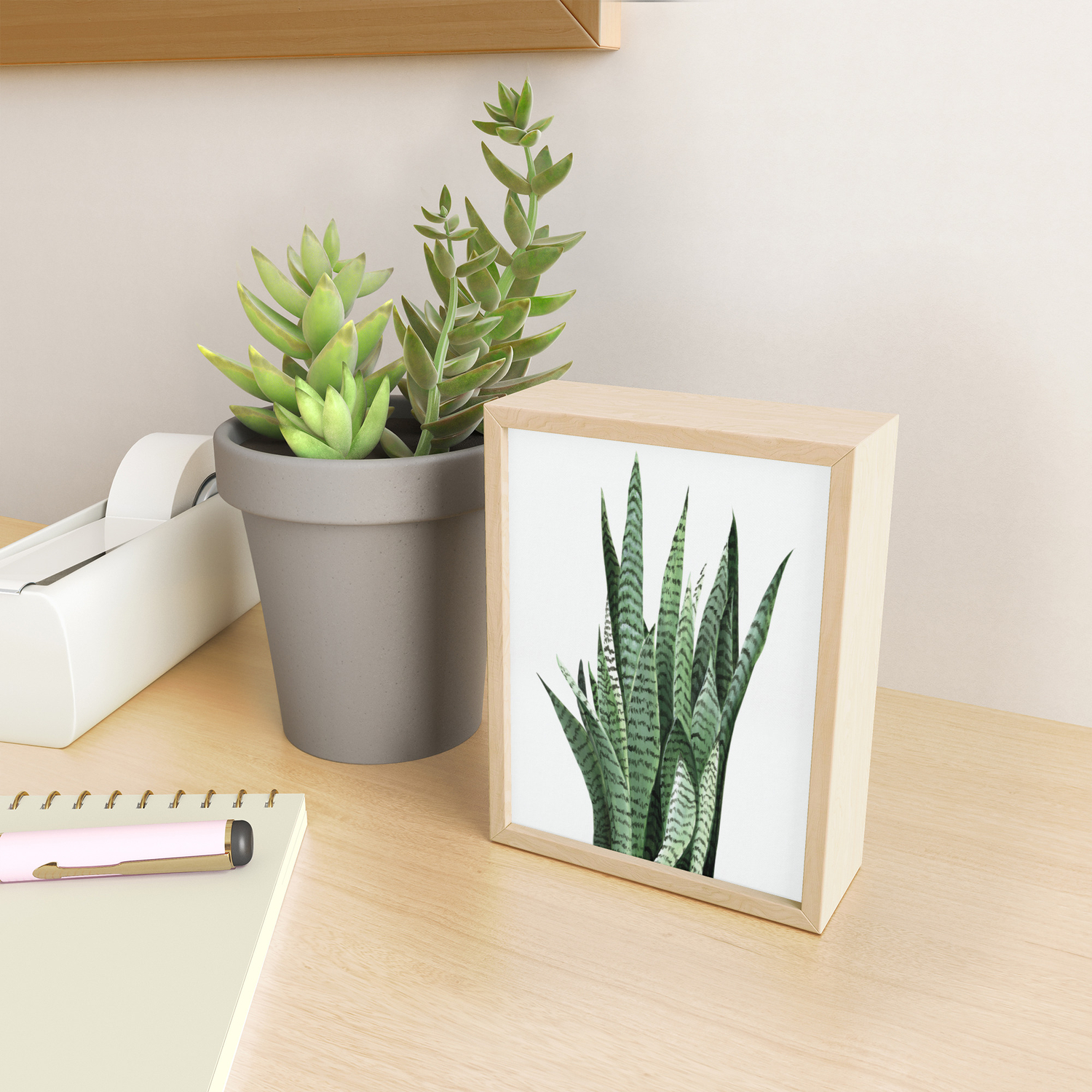Snake Plant Sansevieria Laurentii Art Print Botanical Wall Art