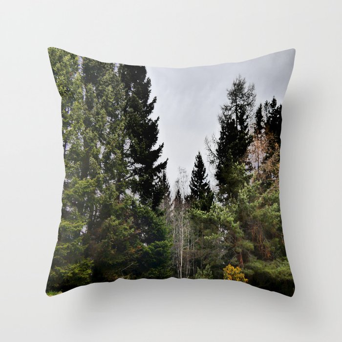 Scottish Highlands Mixed Spring Woodland Scene in I Art Throw Pillow