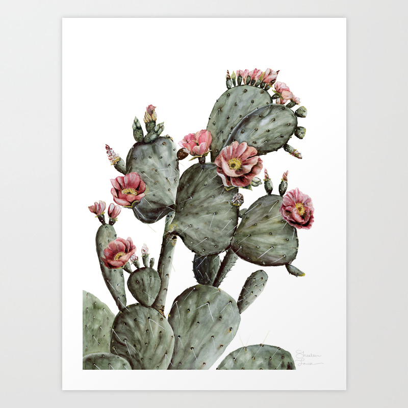 Prickly Pear Cactus Painting Art Print By Shealeenlouise Society6